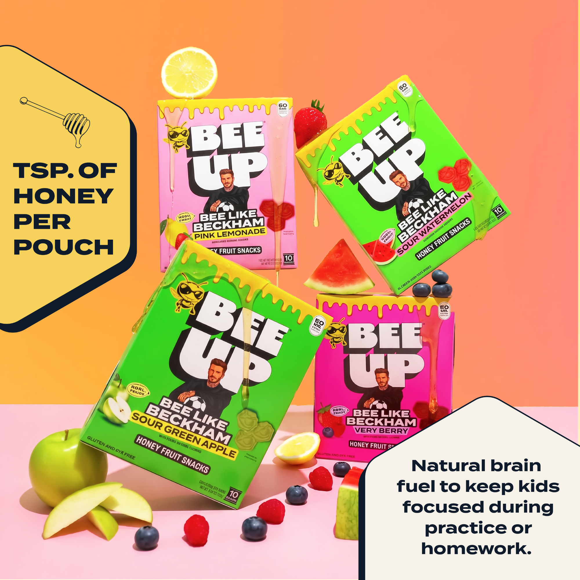 Best Seller Variety 12 Box Pack